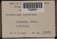 Image Associated With the Occurence